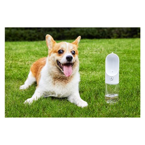 PETKIT | Eversweet Travel | Pet Bottle | Capacity 0.4 L | Material BioCleanAct and Tritan (BPA Free) | White - 2